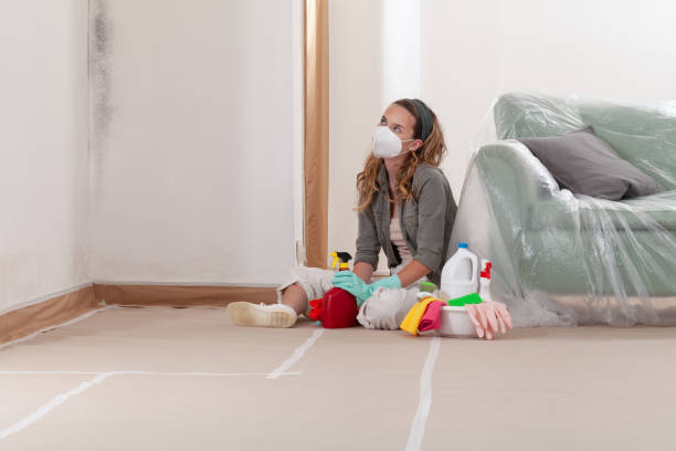 Reliable Mold Remediation contractor in Hampton, MD by Mold Remediation HQ